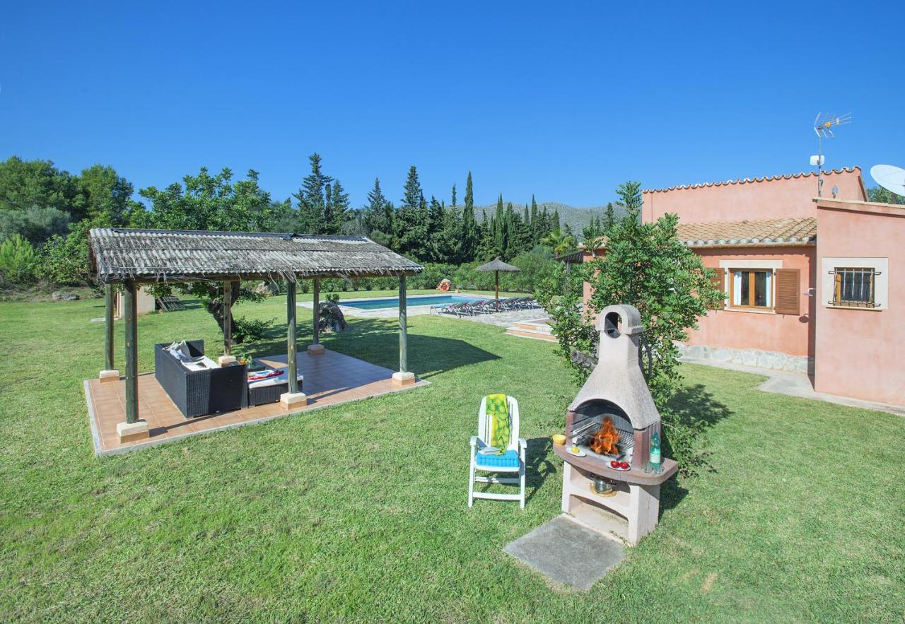 Owl Alejandra - Family And Friends Villa