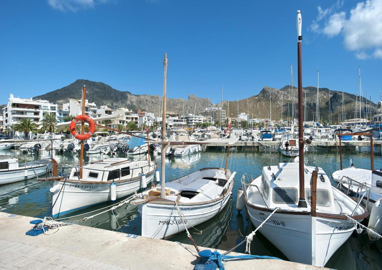 Owl Alejandra - Family And Friends * Port de Pollença